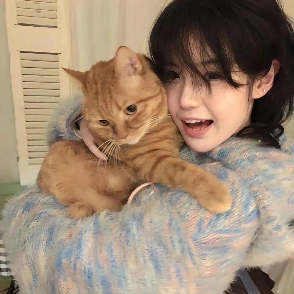 猫胆虫威大电影