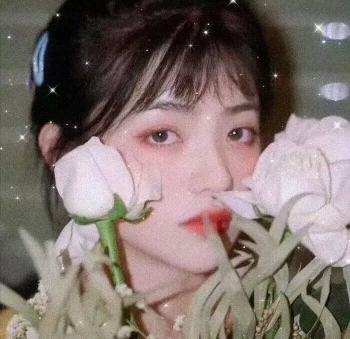 另一个梦之队
